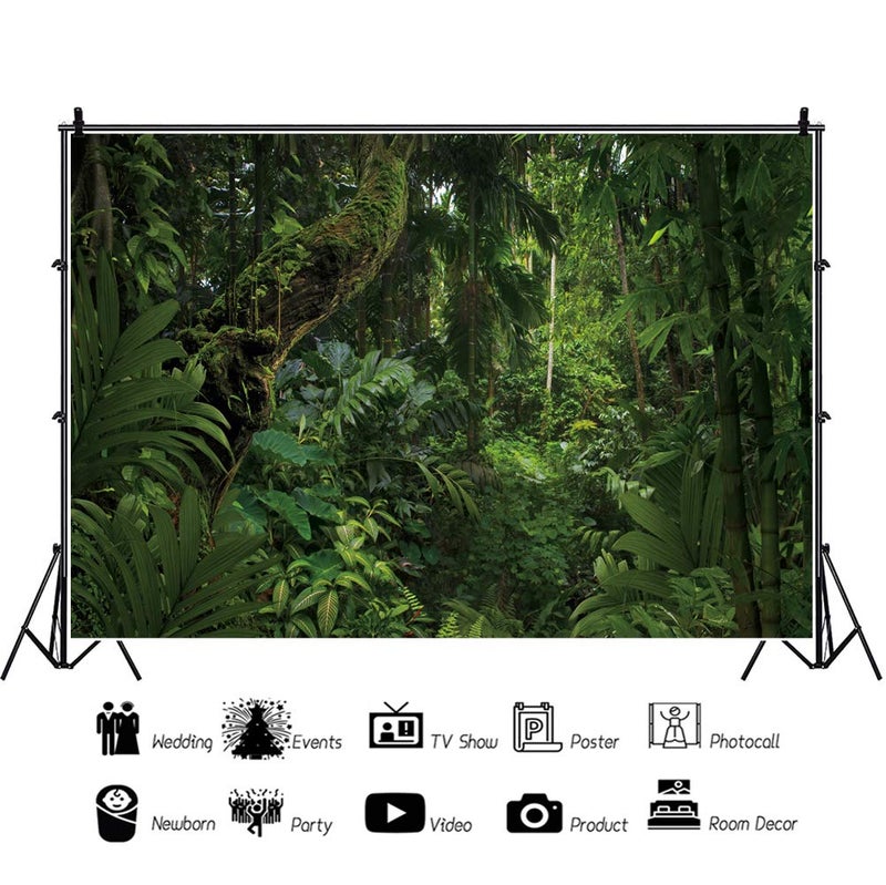 DORCEV 5x4ft Jungle Forest Photography Backdrop for Outdoorsy Camping Theme Party Background Spring Mysterious Rainforest Jungle Forest Tree Natural Scenery Kids Adult Wedding Photo Studio Props - Image 2